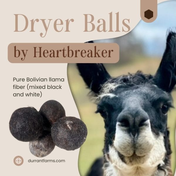 Felted Dryer Balls From Our Herd - Image 6