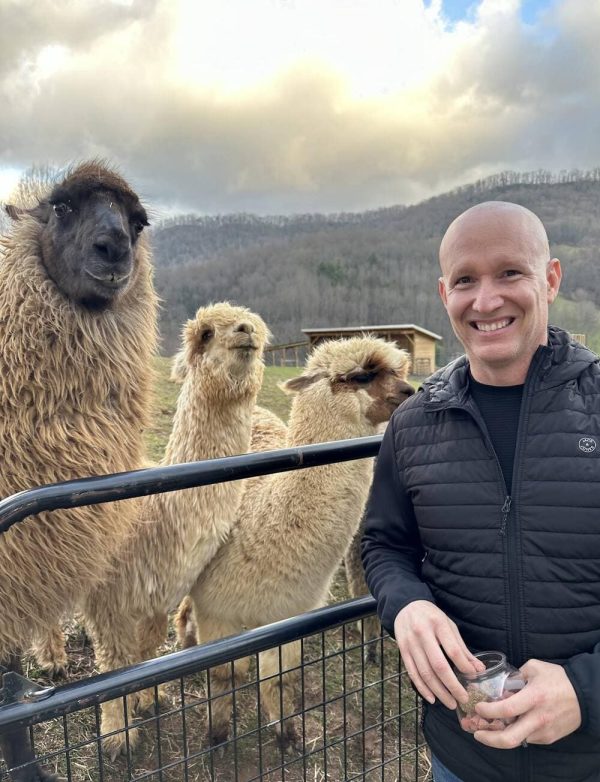 Brunch with Alpacas - Image 5