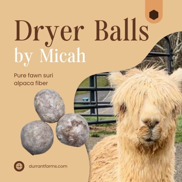 Felted Dryer Balls From Our Herd - Image 4