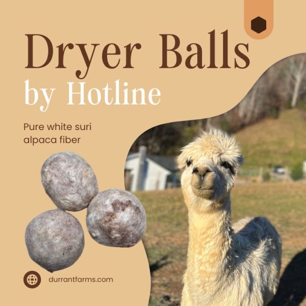 Felted Dryer Balls From Our Herd - Image 3