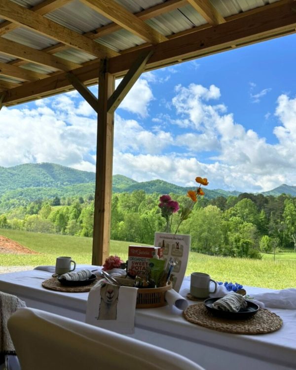 Brunch with Alpacas - Image 2