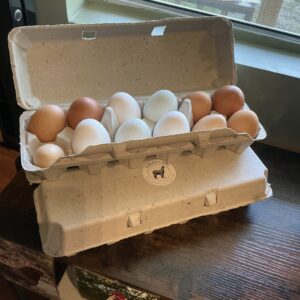Farm fresh eggs