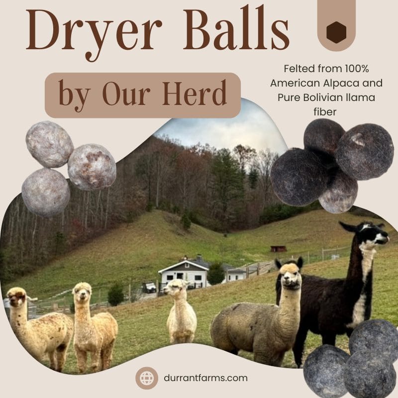 Felted Dryer Balls From Our Herd