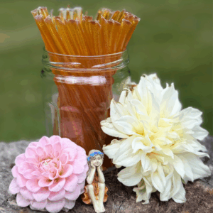 Local Wildflower Honey Sticks