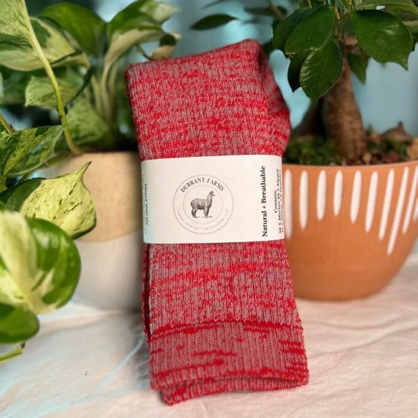Pacarino Blend Socks - Image 7
