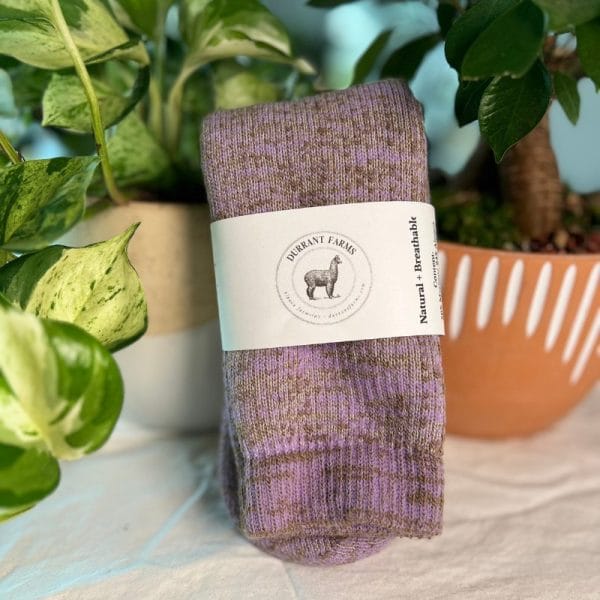 Pacarino Blend Socks - Image 8
