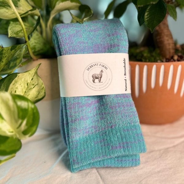 Pacarino Blend Socks - Image 10