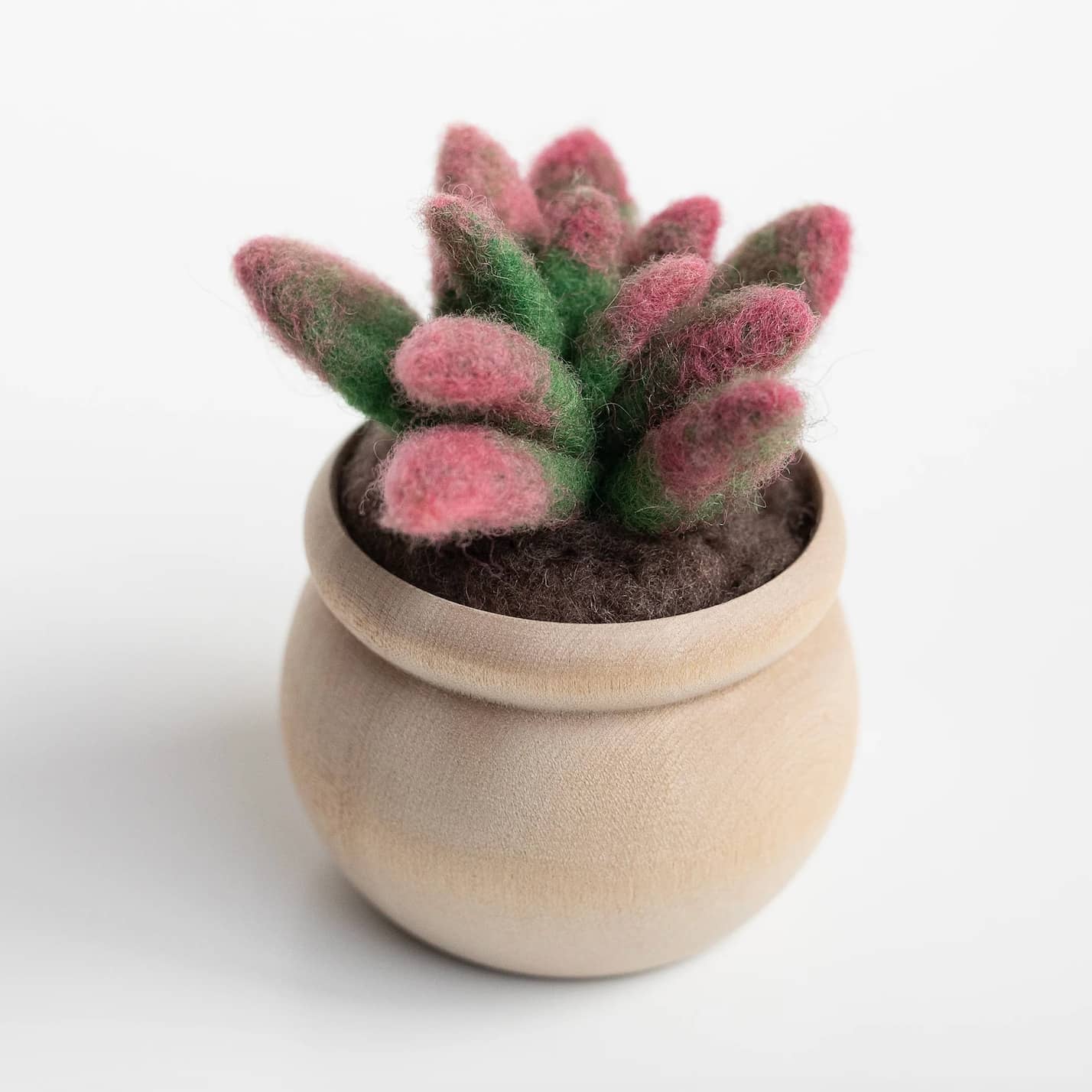 A pink and green DIY Sunrise Succulent Mini Needle Felting Kit in a wooden pot.