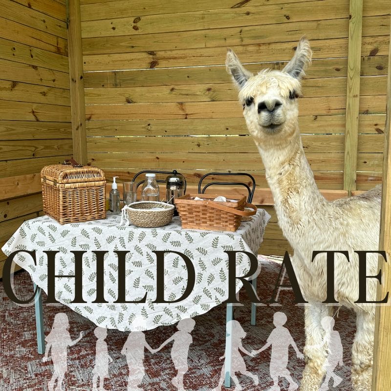 [CHILD RATE] Brunch with Alpacas for ages 8 and under