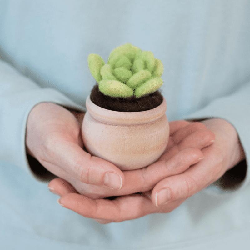 A person holding a DIY Felted Succulent Craft.