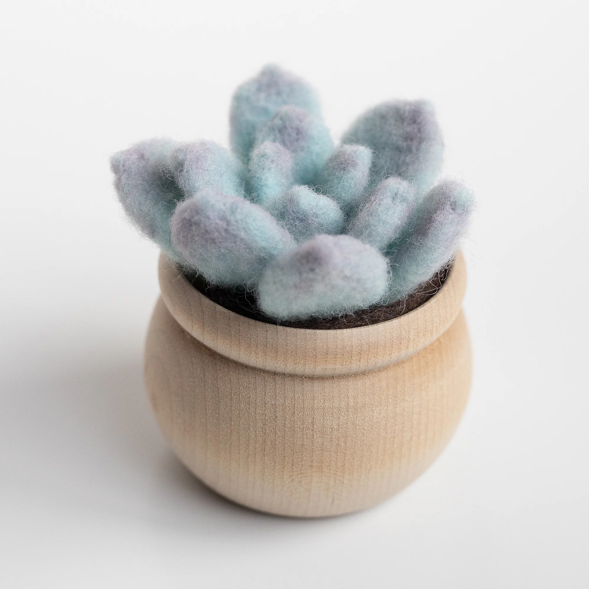 Un mini kit de feutrage à l’aiguille DIY Ghost Plant Succulent dans un pot en bois.