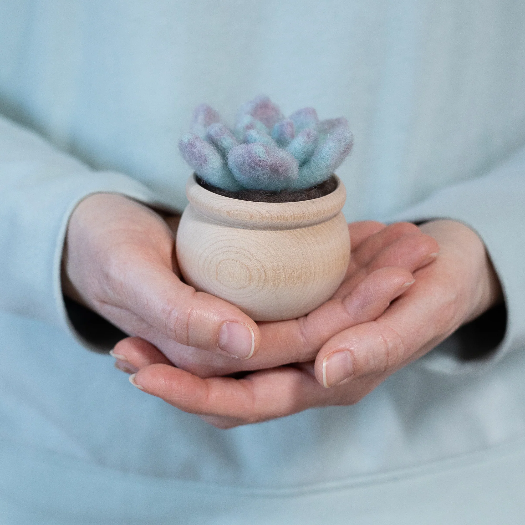 A person holding a DIY Ghost Plant Succulent Mini Needle Felting Kit.