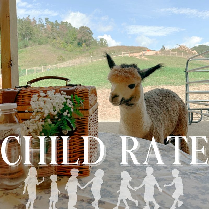 [CHILD RATE] Alpaca Happy Hour for 8 and under