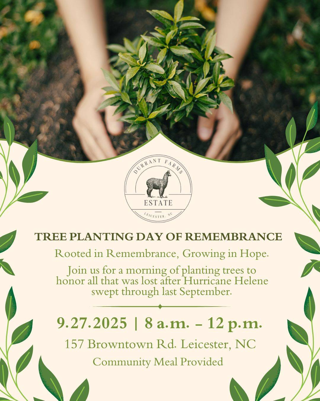 Hands cradle a tender seedling above a flyer for Tree Planting Day, framed by leafy graphics and inviting the farm community to gather.