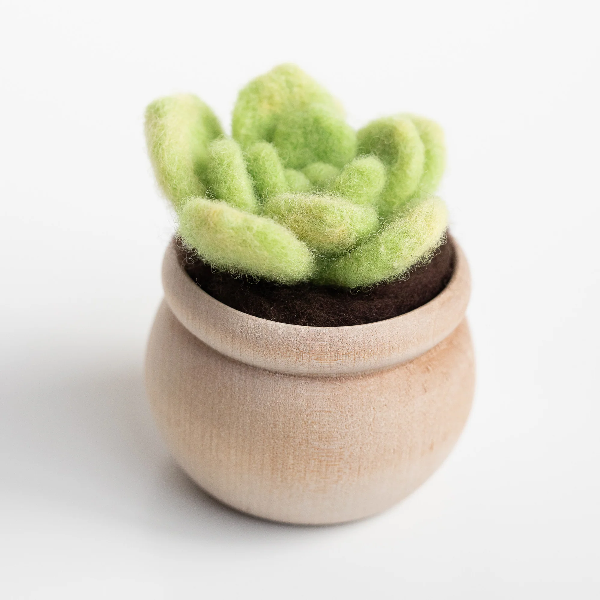 A DIY Felted Succulent Craft in a wooden pot.