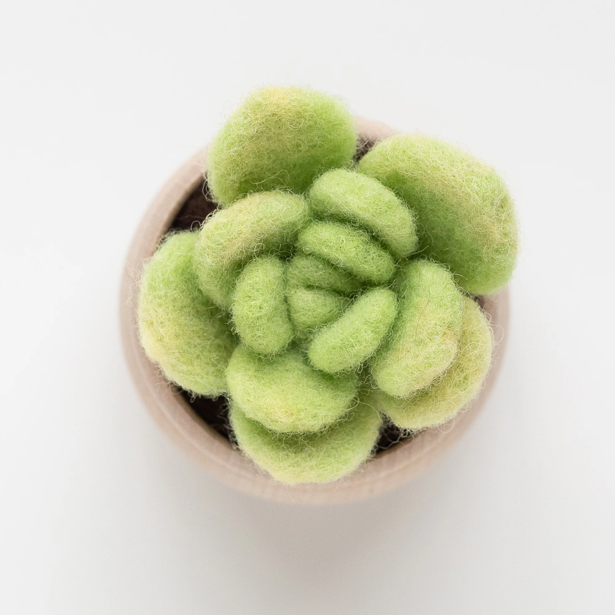 A DIY Felted Succulent Craft in a wooden pot.