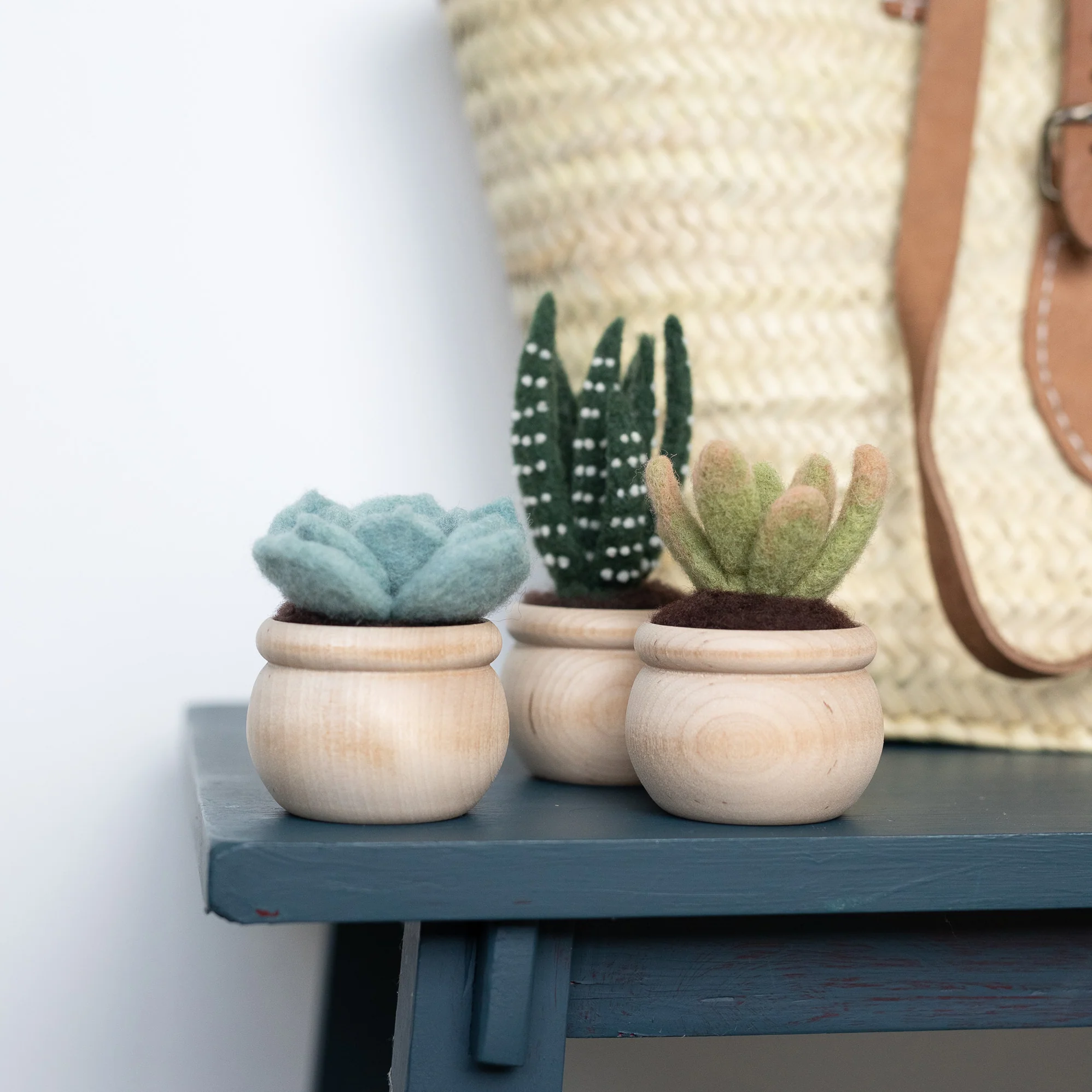 Three wooden pots with Succulents Needle Felting Kit and a bag on a table.