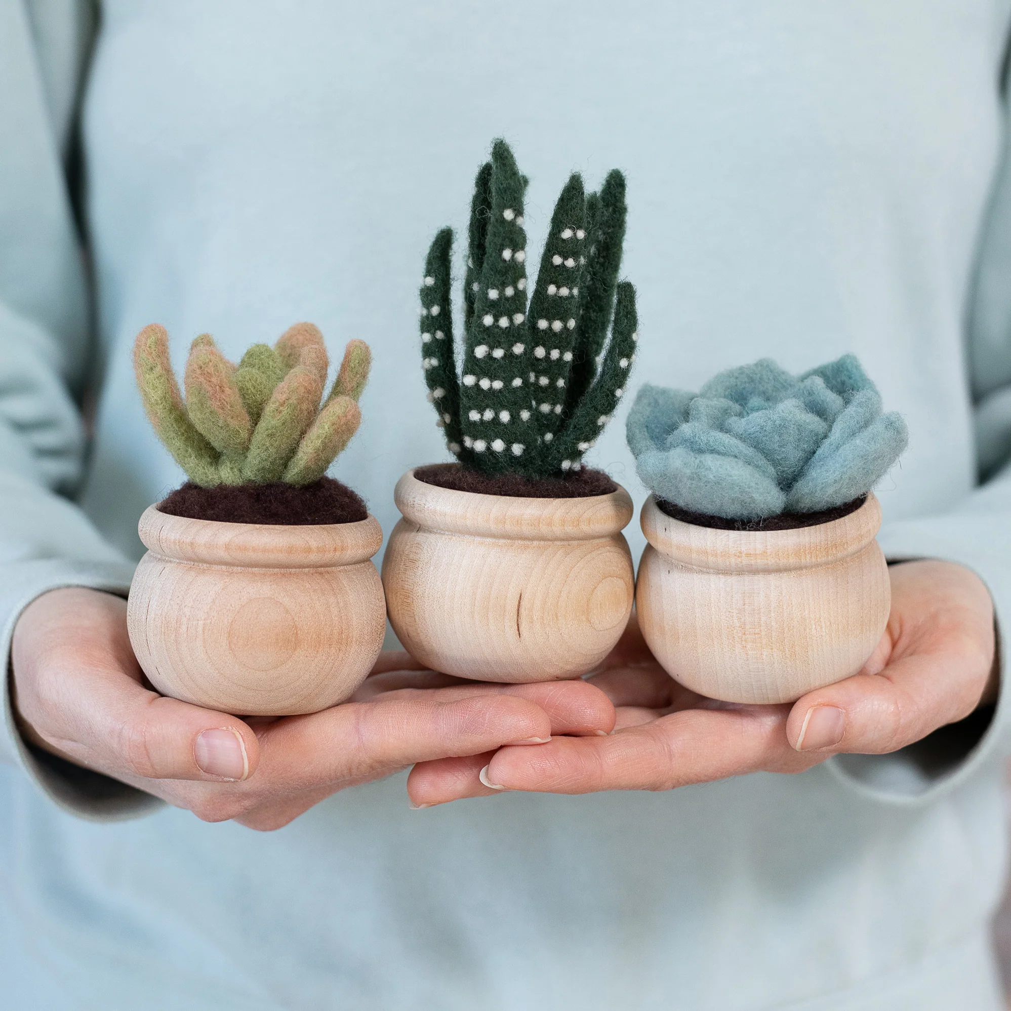 Three wooden pots with Succulents Needle Felting Kit in them.