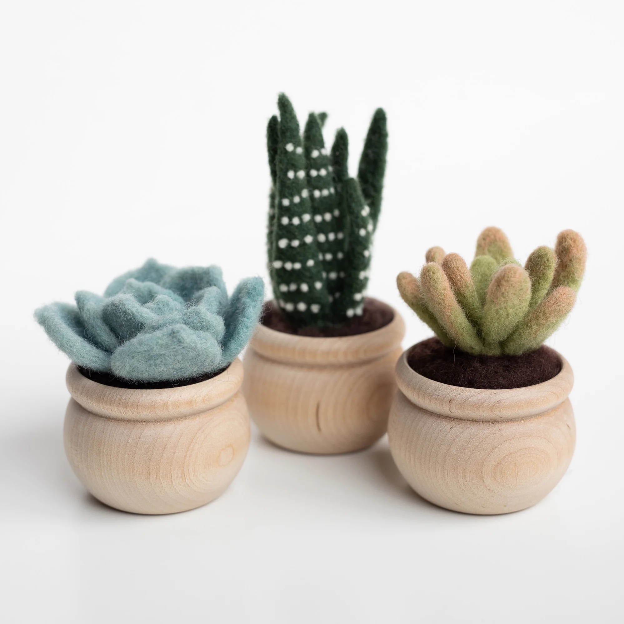 Three Succulents Needle Felting Kits in wooden pots on a white background.