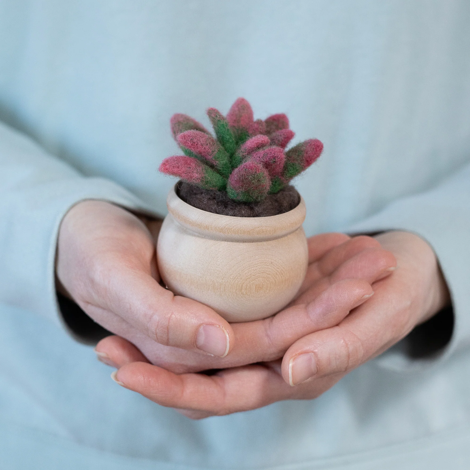 A person holding a DIY Sunrise Succulent Mini Needle Felting Kit in a pot.